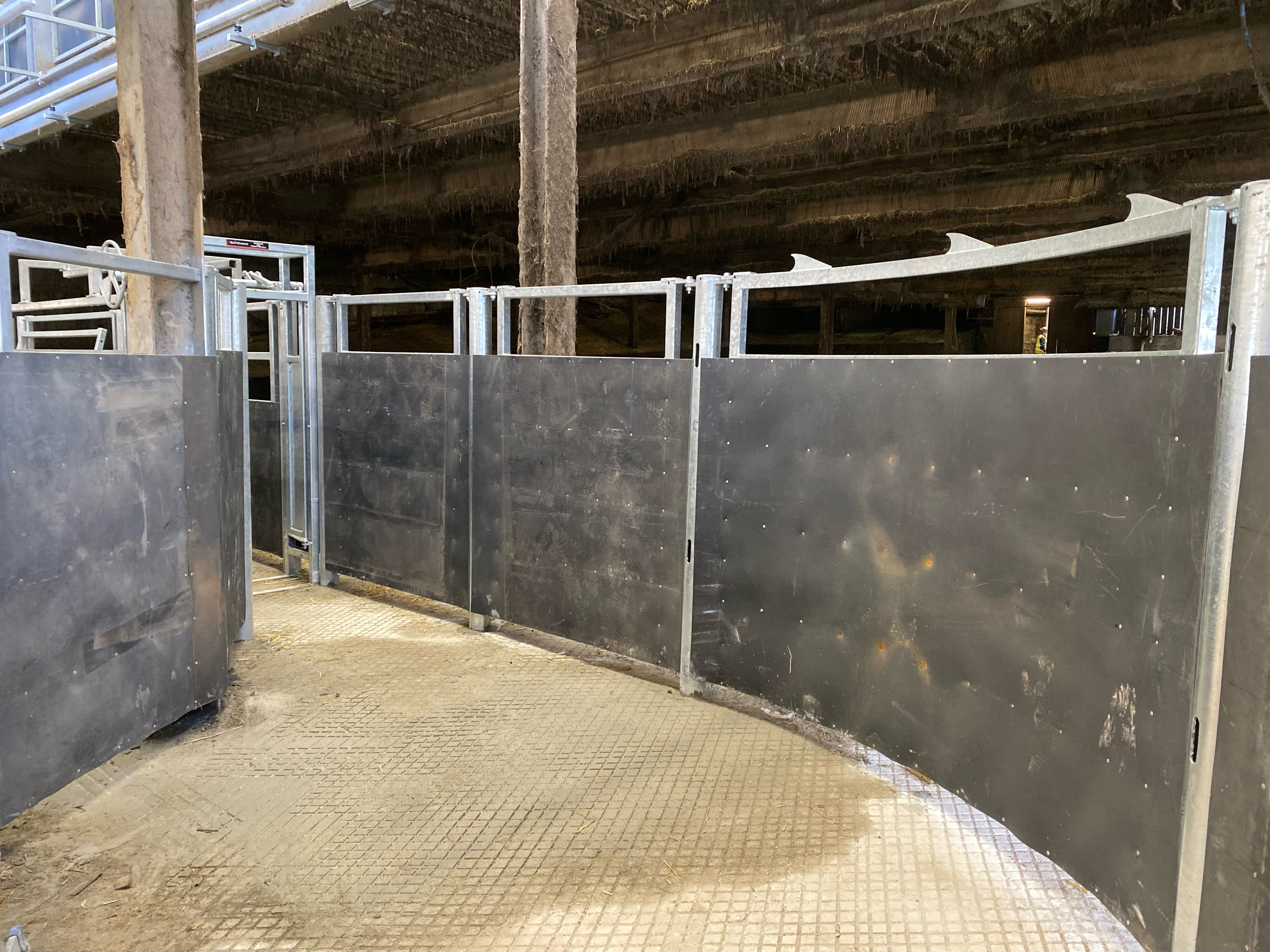 Cattle Handling Systems
